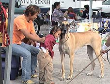 dog1.jpg