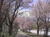Dsc00068.jpg
