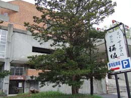 soba.jpg