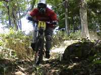 mtb.jpg