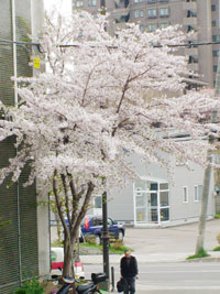 0424-2.jpg