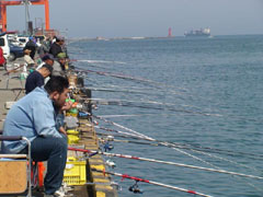 fishing2.jpg