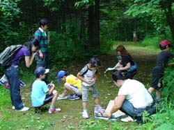 夏休みの自由研究は 植物標本