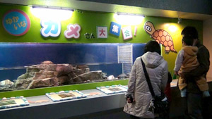 0318aquarium1.jpg