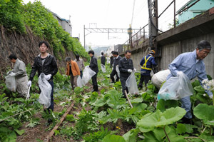 cleanupwalk2.jpg