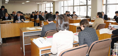 0318council.jpg