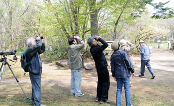 0510birdwatching2.jpg