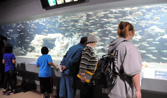 ダイオウグソクムシ 水族館 リュック グレー 生き物 鞄 バッグ 