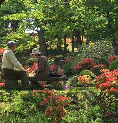 0523tsutsuji.jpg