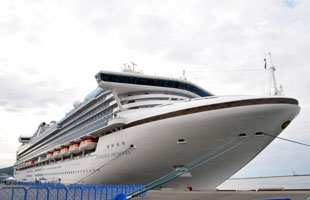 diamondprincess1.jpg