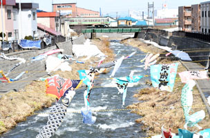 0409koinobori.jpg