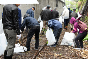 cleanupwalking3.jpg