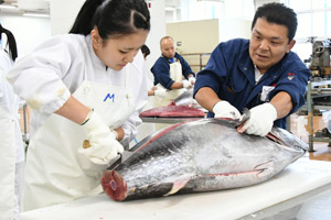 まぐろ解体ショーで最終練習 小樽水高女子