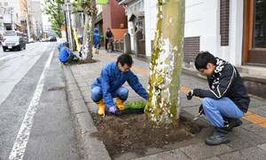 streetflower1.jpg