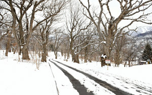 0323weather2.jpg