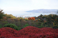 lateautumn1.jpg