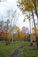 lateautumn12.jpg