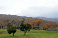 lateautumn7.jpg