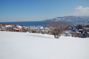 hauchikaede-winter.JPG