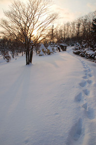 wintertemiyapark2010-asiato.JPG