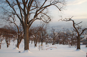 wintertemiyapark2010.JPG