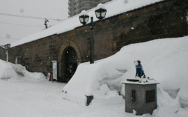 【クーポン対象外】 小樽市今季最深積雪95cm 大雪に警戒！ テント・タープ