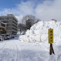 雪降る日 1983 Datsun 280ZX | Carlisle Auctions