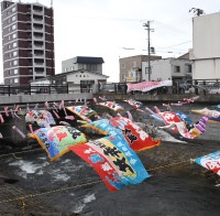 360匹の鯉のぼりが大漁旗ととも勝納川に出現！